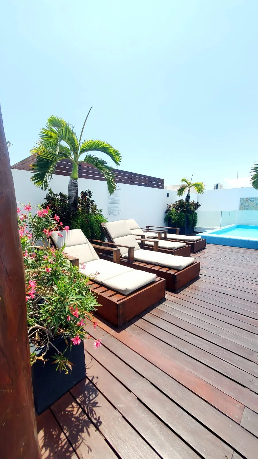 1 Bedroom Apartment in Playa del Carmen