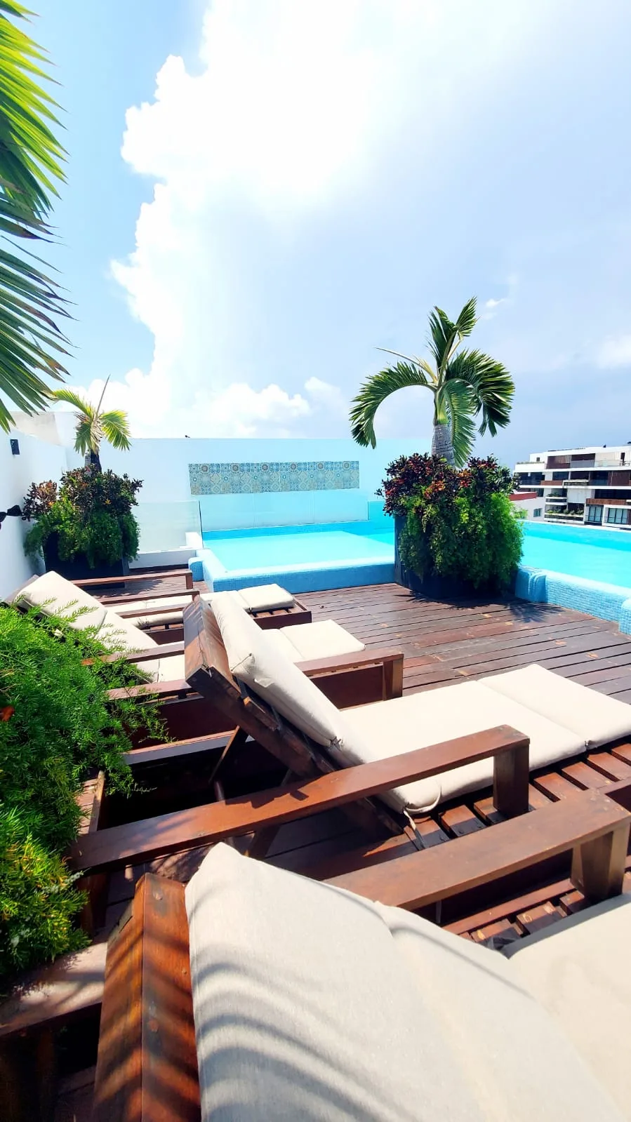 1 Bedroom Apartment in Playa del Carmen