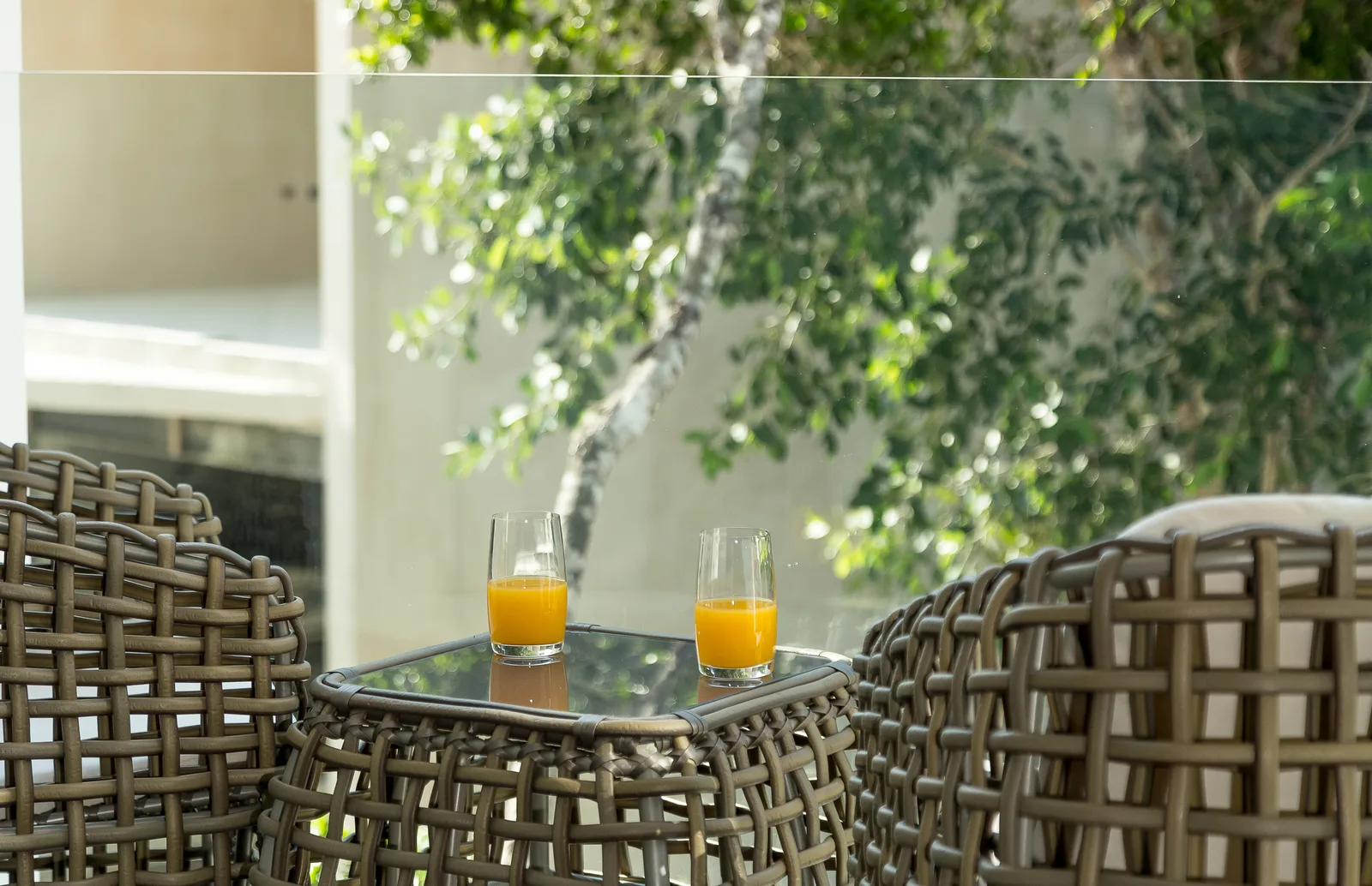 1 Bedroom Apartment in Aldea Zama