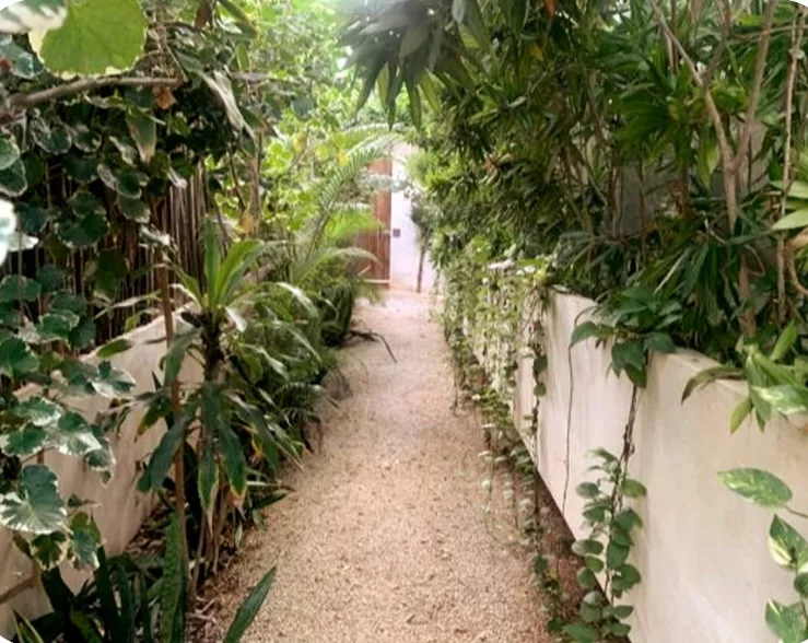 Studio with Private Pool in La Veleta, Tulum