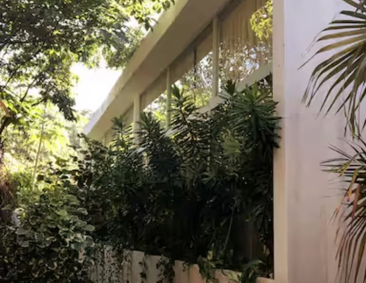 Studio with Private Pool in La Veleta, Tulum