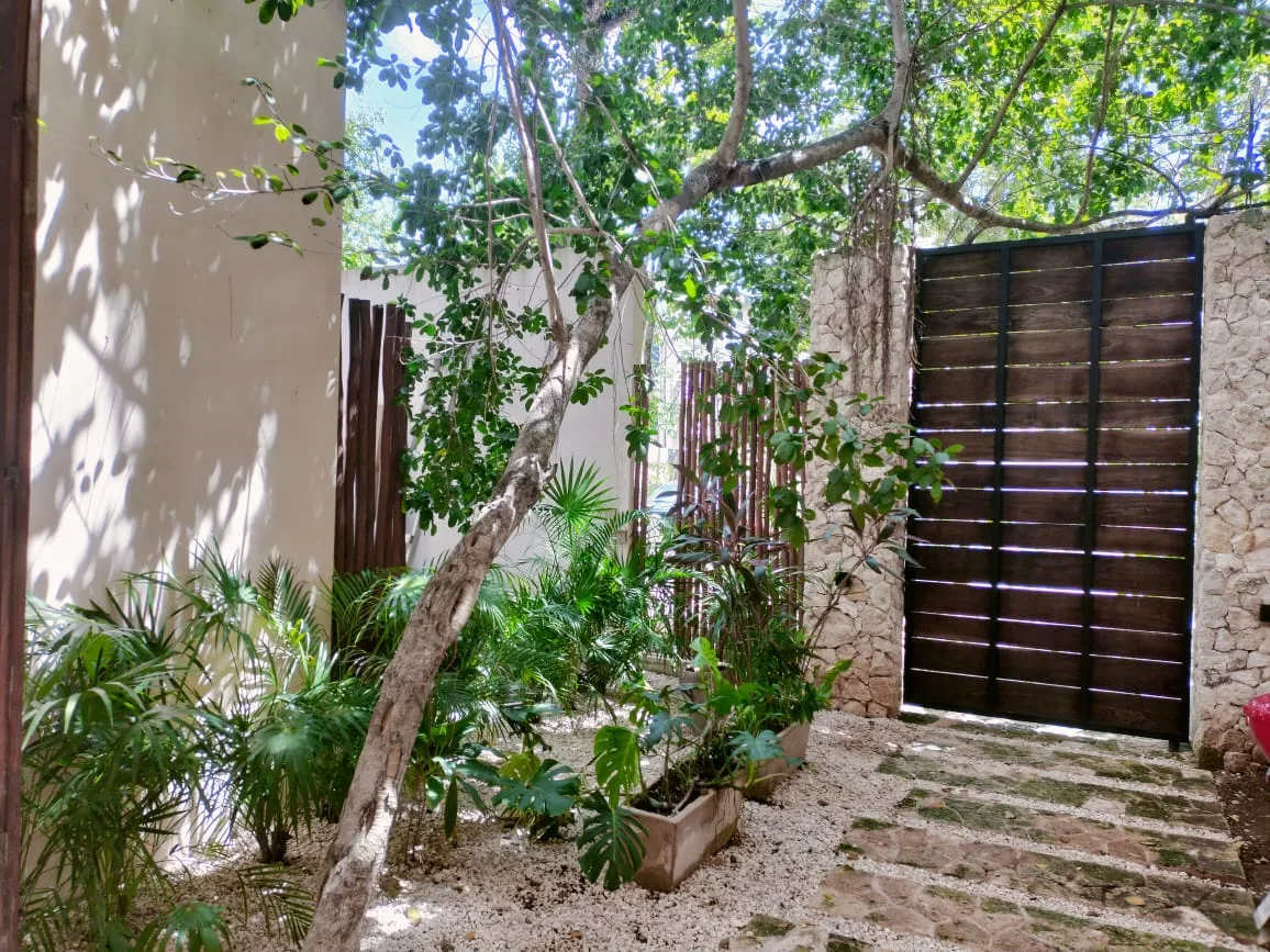 Property in La Veleta Tulum