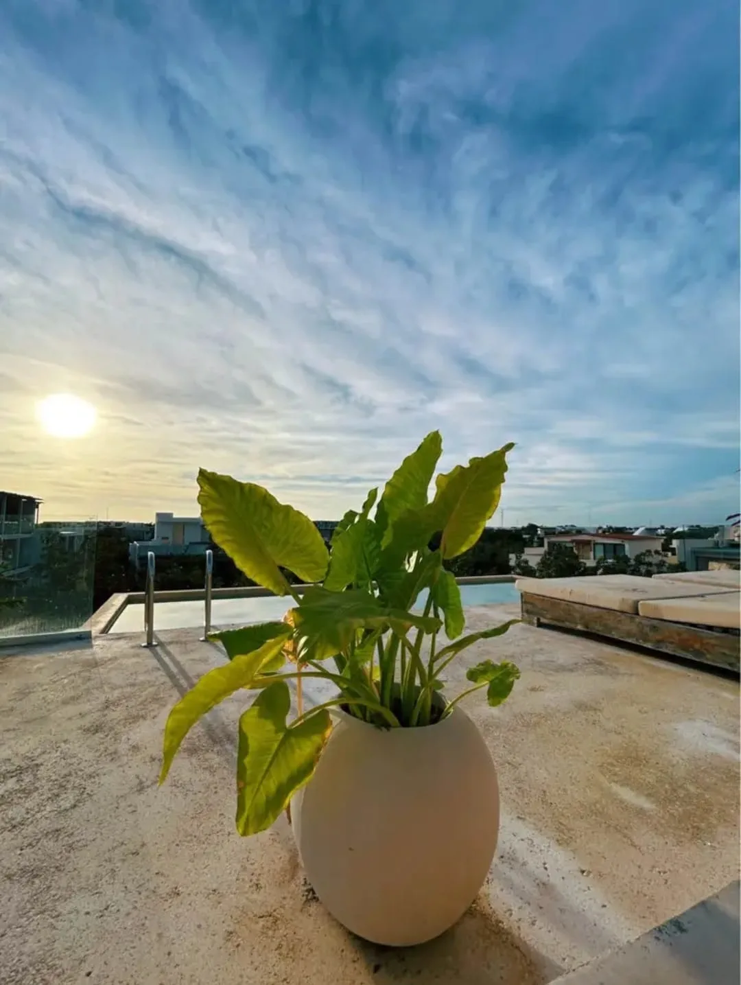 Property in La Veleta Tulum