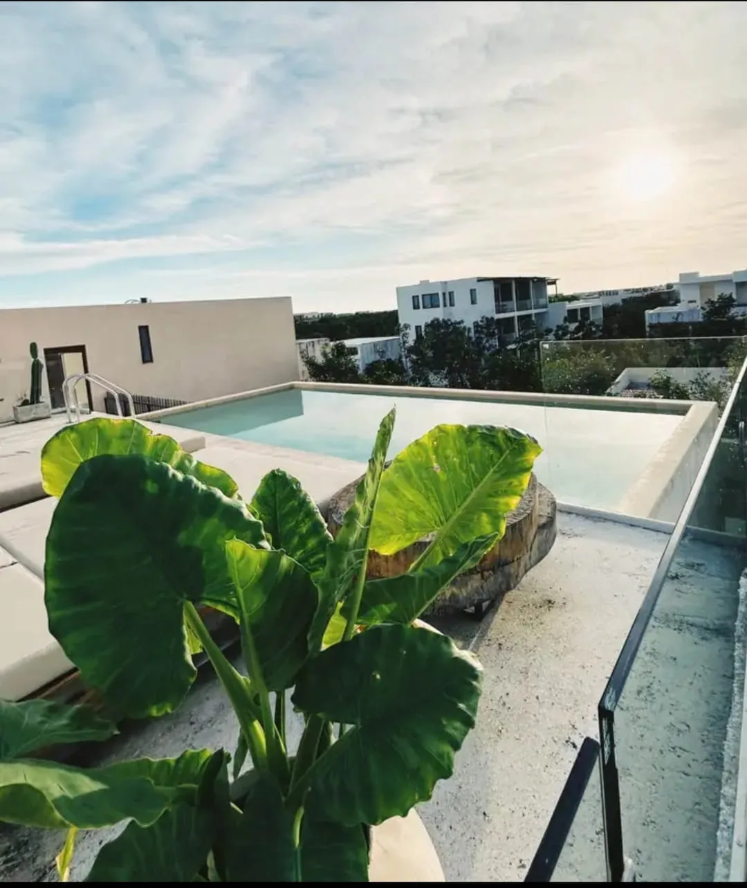 Property in La Veleta Tulum