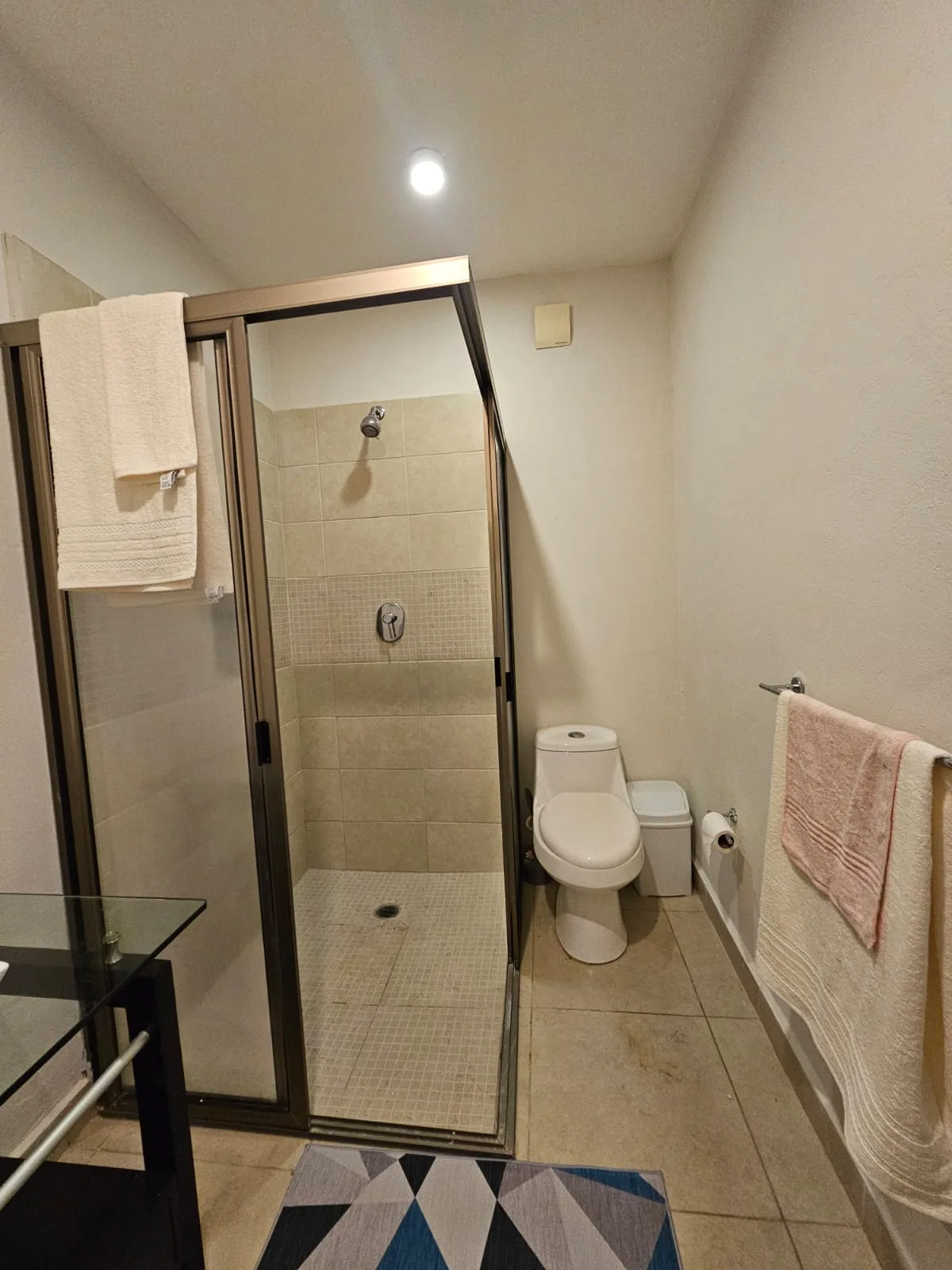 2 Bedroom Apartment in Playa del Carmen