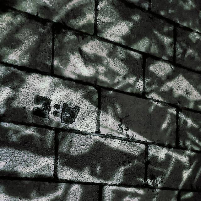 Contact
